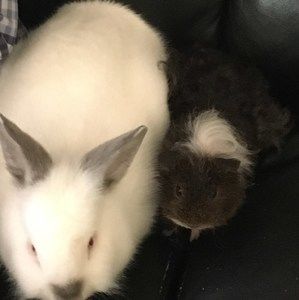 Meet your Posher, Annisa